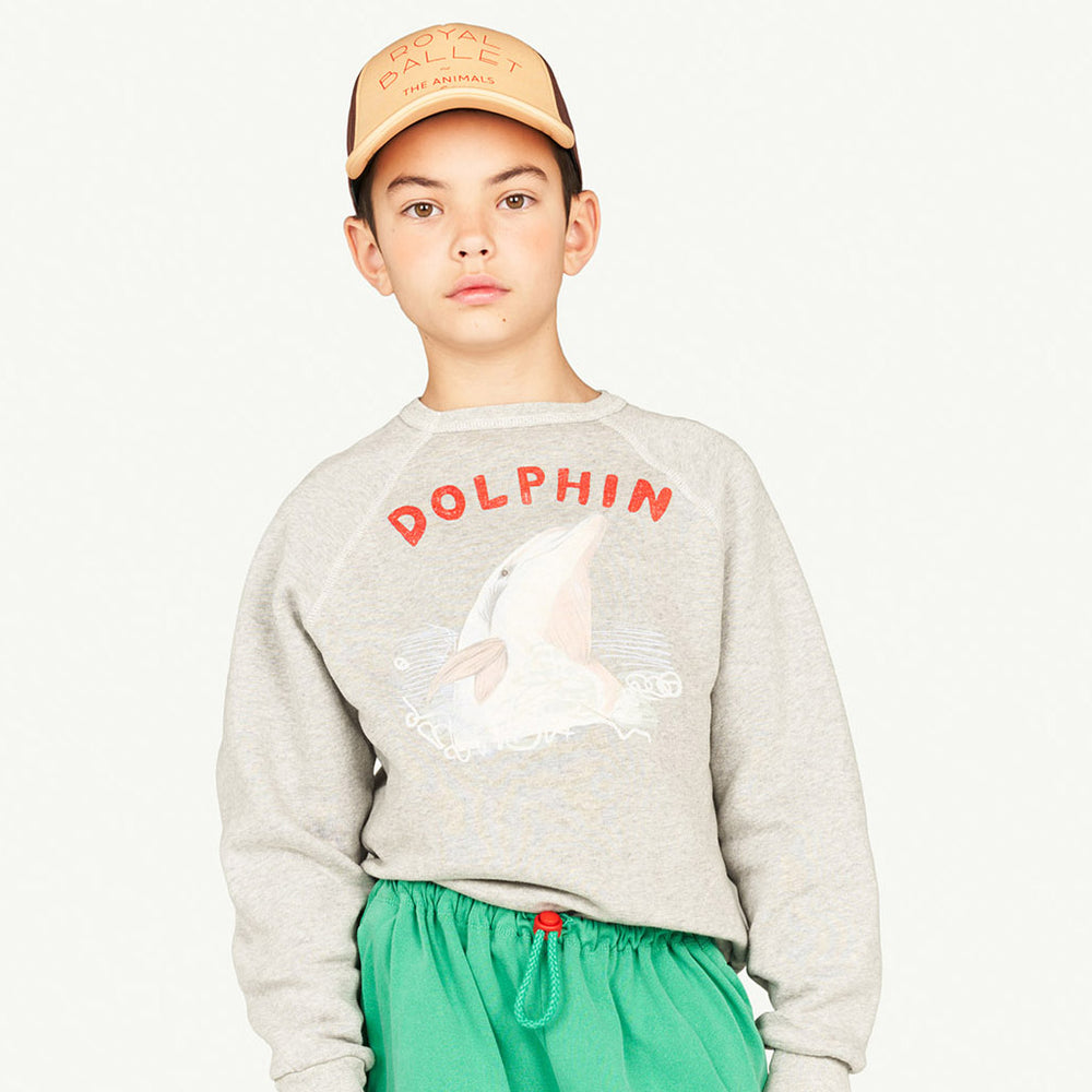 
            
                Load image into Gallery viewer, Shark Kids Sweatshirt Grey Dolphin by The Animals Observatory
            
        