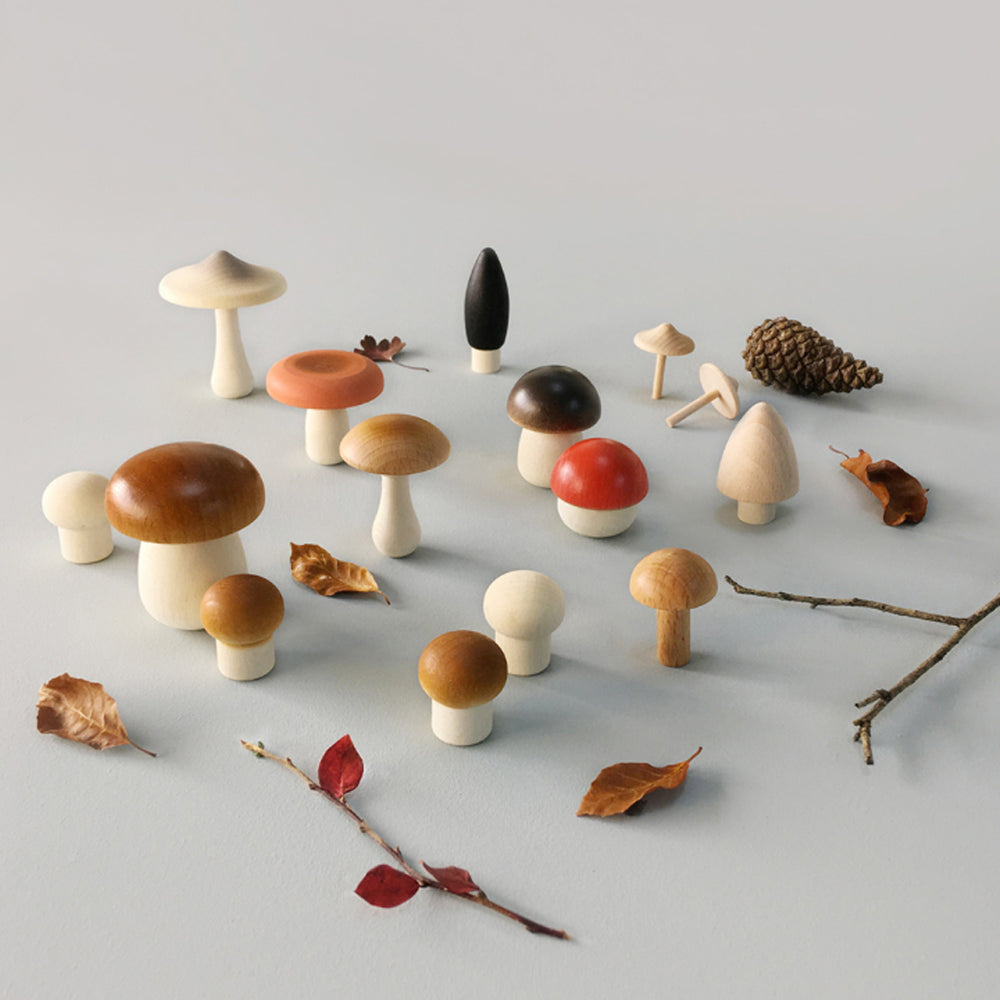 Forest Mushroom Set by Moon Picnic