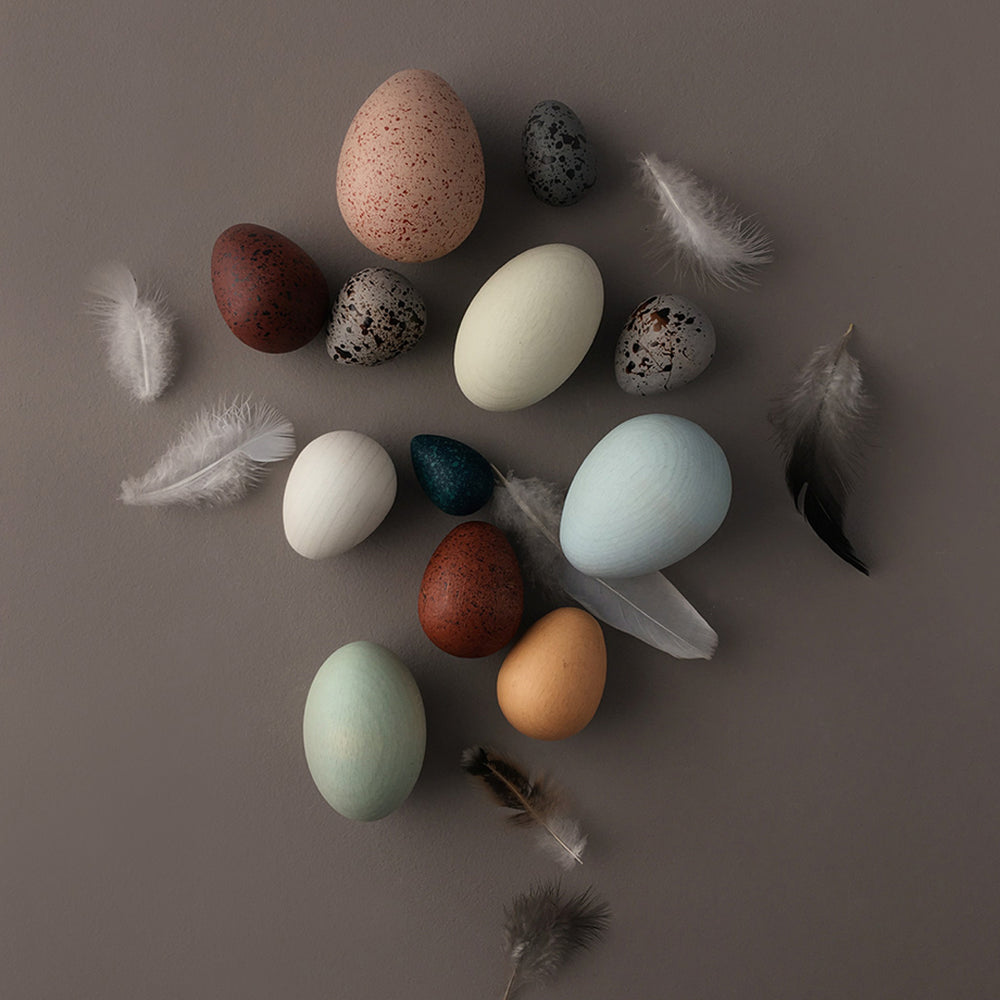 A Dozen Bird Eggs by Moon Picnic